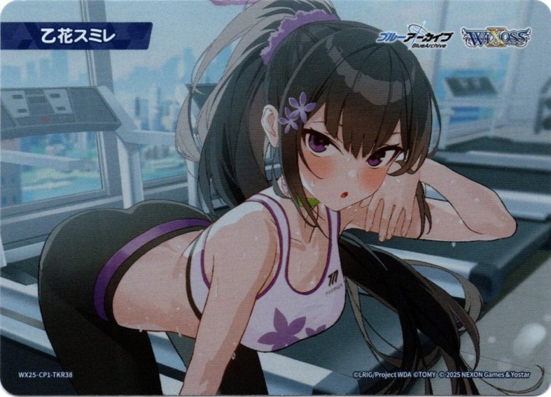 画像1: WX25-CP1-TKR38 乙花スミレ (1)