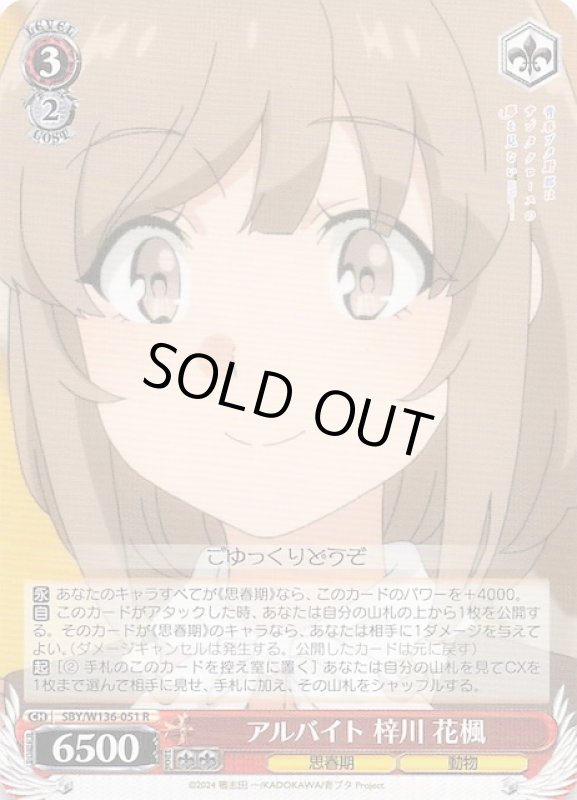 画像1: SBY/W136-051 R アルバイト 梓川 花楓 (1)