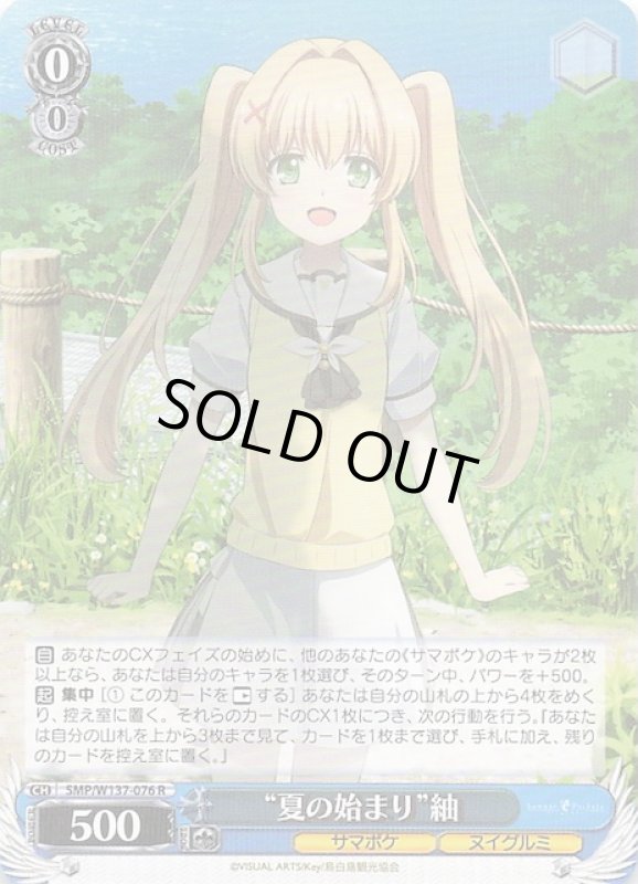 画像1: SMP/W137-076 R “夏の始まり”紬 (1)