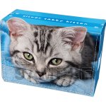 画像1: A賞：合皮製デッキケースＷ 「サバトラ」 (1)