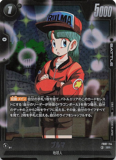 画像1: FB07-114 SR ブルマ (1)